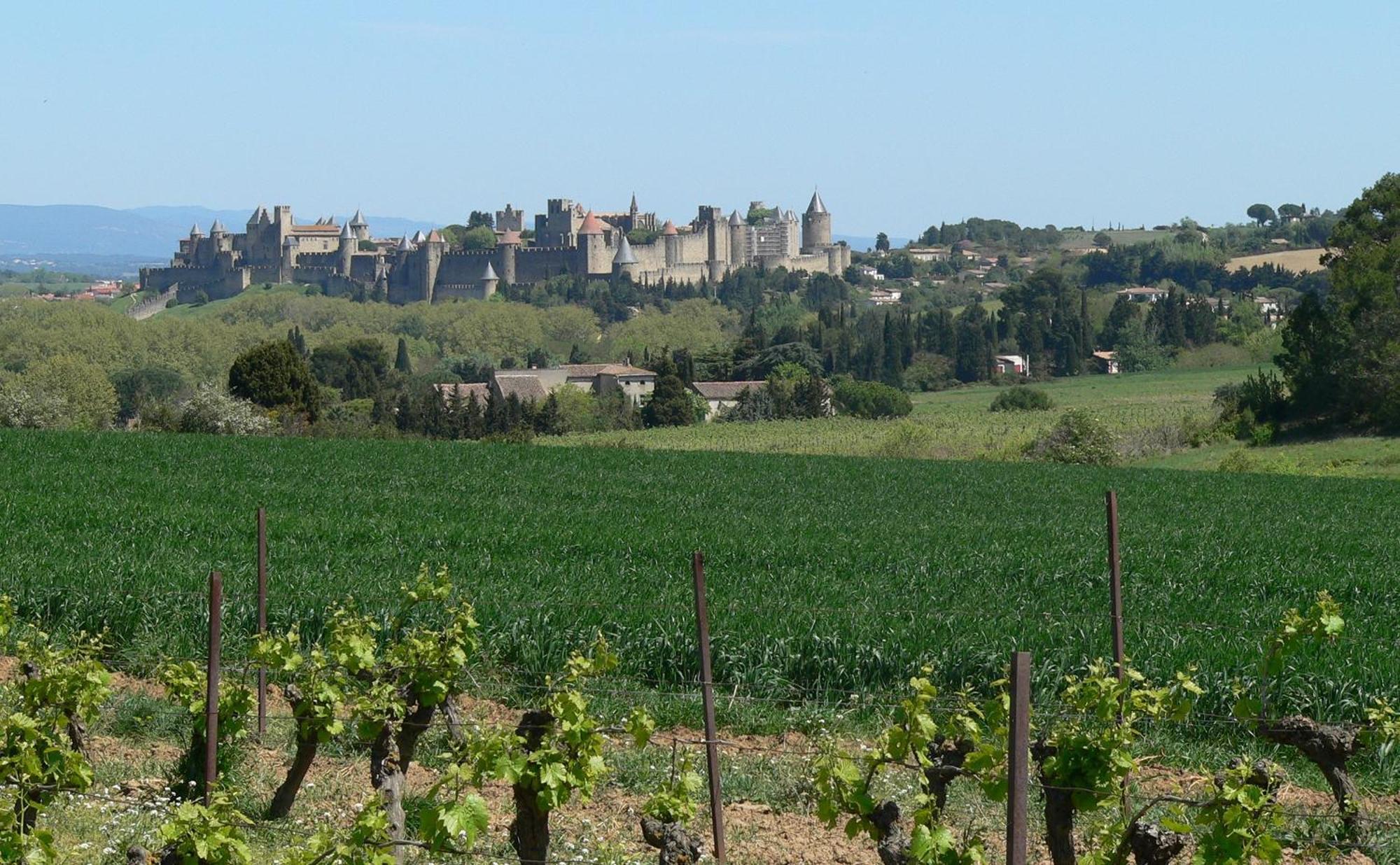 La Petite Chambre Du Lac Carcassonne Ngoại thất bức ảnh